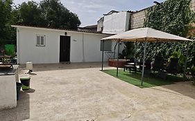 Villa Verde Pet-Friendly